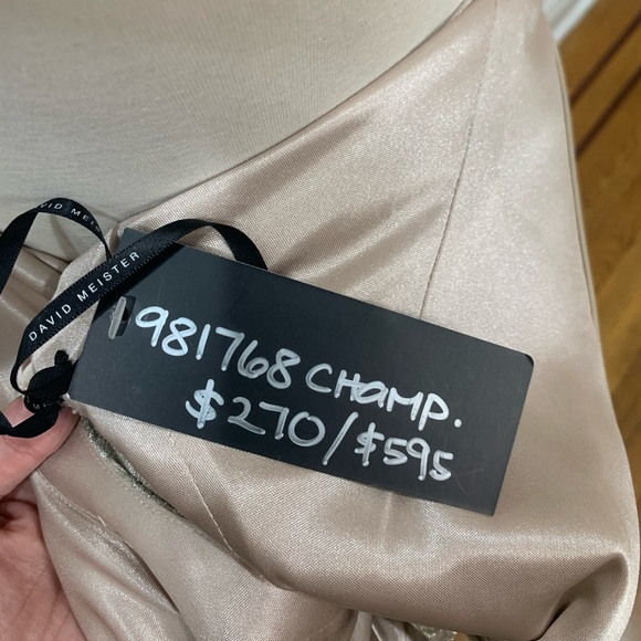 David Meister Champagne feather sleeveless lace midi dress - Picture 7 of 9